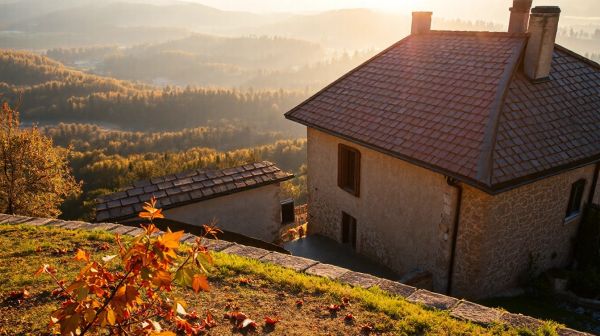 Top 5 conseils pour un excellent nettoyage de toiture en Seine-et-Marne